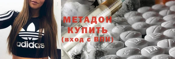 индика Кулебаки