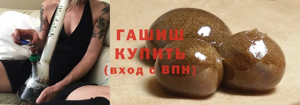 индика Кулебаки