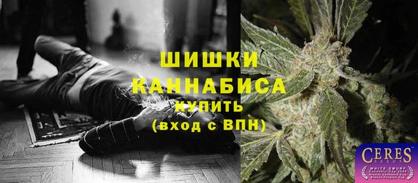 индика Кулебаки