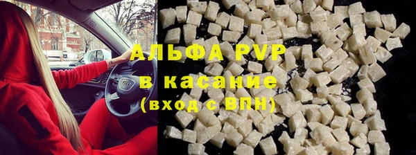 индика Кулебаки