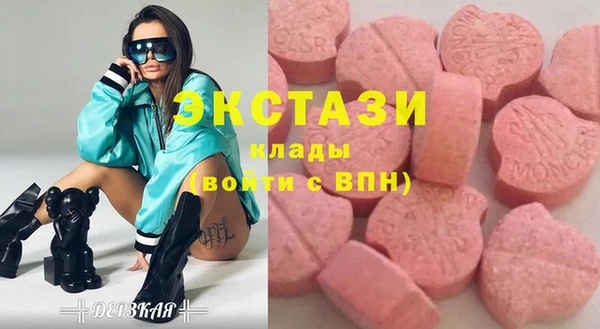 крисы Краснослободск