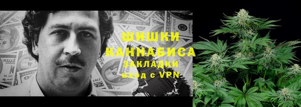 крисы Краснослободск
